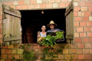 Casal veio do interior para ajudar irmão, que planta arroz, a cuidar de hortaliças - Foto: Fernando Dias