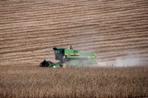 Agropecuária cresce 6,2% no período; destaque à soja. - Foto: Fernando Dias