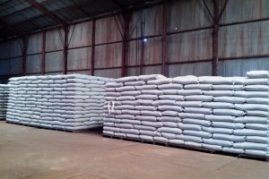 Há mais de dez anos, a Cesa não armazenava o produto - Foto: José Americo Messchmidt/Cesa Cruz Alta