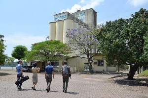 Os jornalistas pesquisam sobre a produção de alimentos no RS/Foto: Juliana Brum